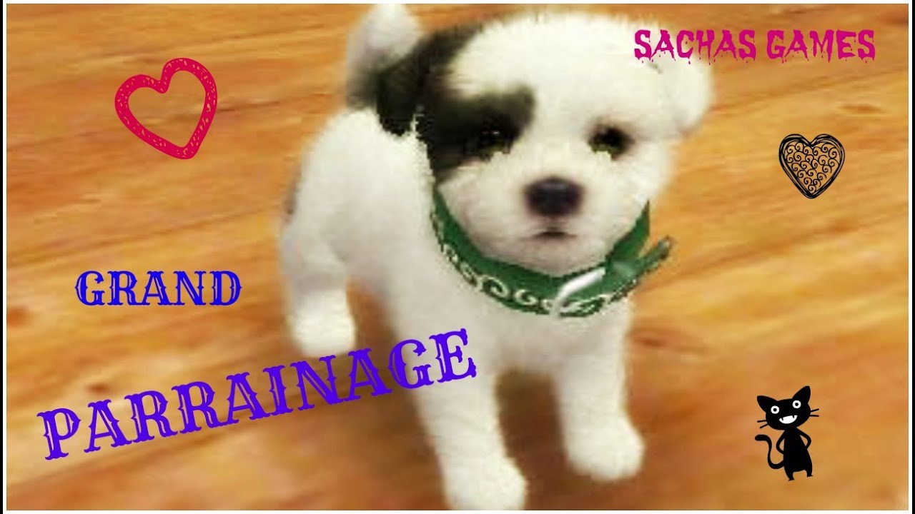 {Nintendogs +Cats} Grand parrainage de tous mes bébés ♡ - YouTube