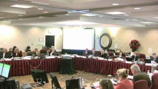 FDA Hearing 12-14&15 2010 testimony of Katina Minney