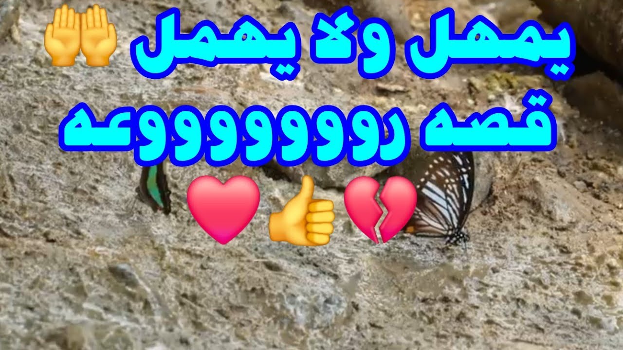يمهل ولا يهمل 🤲 قصه روووووووعه ❤️👍💔