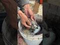 Non ci si ferma mai 💪🏽☀️#pescatodelgiorno #pescatoriitaliani #reel #viral