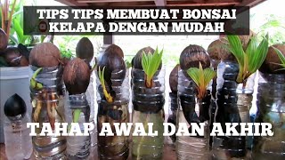 TIPS MUDAH MEMBUAT BONSAI KELAPA DARI AWAL SAMPAI JADI BAGUS /Easy way make coconut bonsai