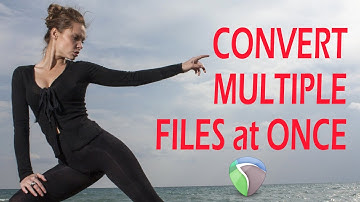 #054 - ▶️  Reaper: Multiple File Conversion at once (Batch) [Tutorial - How To - ENGLISH]