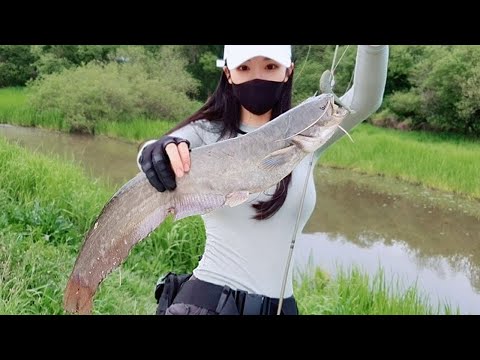 오래된 수로에서 <strong>발견한</strong> 오래된 녀석! <strong>Old</strong> fish found in <strong>old</strong> waterways 낚시