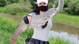 오래된 수로에서 발견한 오래된 녀석! Old fish found in old waterways 낚시