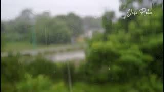 Suara Hujan Gerimis Pagi Hari | Membuat Nyaman dan Nyenyak Berkualitas #suarahujan #gerimis #relax