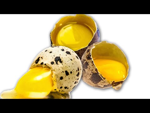 Вопрос: Как кушать перепелиные яйца?