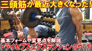Introducing the triceps extension, which has recently grown my