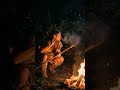 Это не твой страх это страх твоих предков #dna #evolution #mindblown