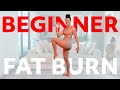 Beginners Do This Everyday to Burn Fat (2 Mile Walk)