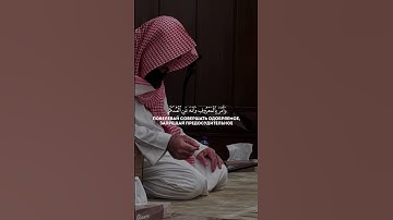 سورة لقمان الآية (17) - محمد اللحيدان