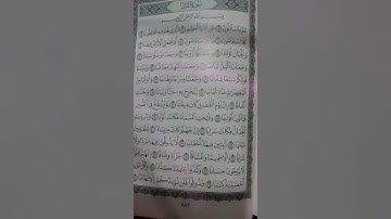 سورة النبأ بصوت الطفل صلاح الدين الأيوبي 😇⁦❤️⁩👍😁😁