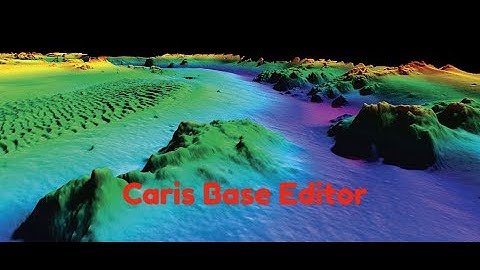 Caris Base Editor