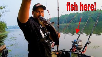 HOW to find flathead catfish during spawn!
