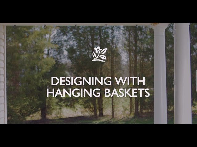 Designing With Hanging Baskets