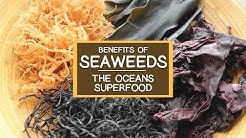 The Nutritional Benefits of Seaweed, The Ocean's Superfood 