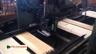 Anser U2 Standard inkjet printing IPPC logo