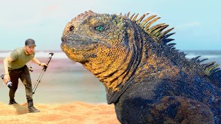 Real Godzilla found in Galapagos! by Mark Vins   3,203 views 2 months ago 58 minutes