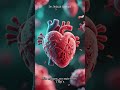 Plaque vs. Clot: The Real Cause of Heart Attacks Explained Simply #heartattack