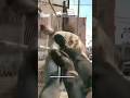 Move #deadisland2 #shorts #fyp #funny #kick #ps5 #gaming #clips