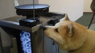 Samson plays the Theremin