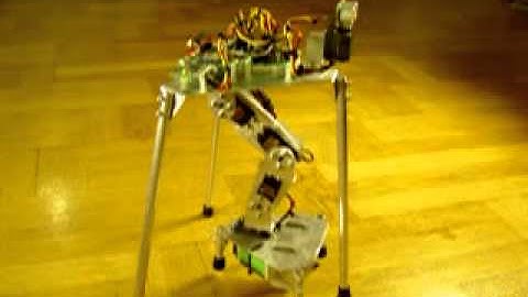 One-legged robot Stampe 8 walking