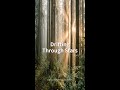 【1分】リラックス集中 Chill Ambient ☕ #shorts #作業用BGM