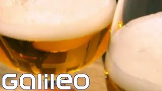 Wer Braut Das Beste Bier Der Welt? Galileo