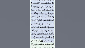 تلاوة خاشعة سورة البقرة الاية 217 القرآن تلاوات
