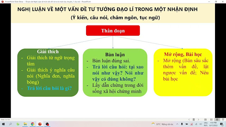 Baài văn nghị luận xã hội vè 1 câu nói năm 2024