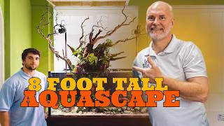 We Flew Out of State to Build This Massive 150 Gallon Aquascape!
