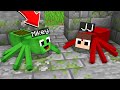 Jj and mikey were kidnapped and turned into spiders in minecraft maizen