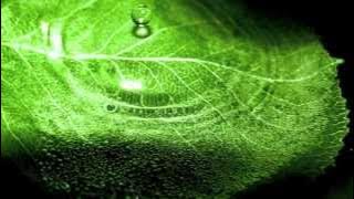 Guitar Backing Track (A Minor) Chill Out