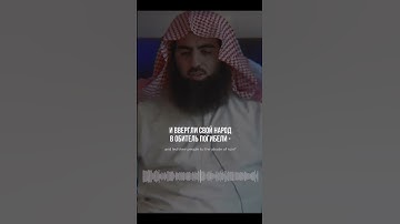 تلاوة نادرة ومريحة للشيخ:محمد اللحيدان🫀😍