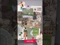 Journaling Lady in green | #shorts   #asmr   #journal   #green   #relaxing