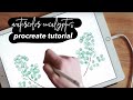 How to Paint Watercolor Eucalyptus Wreaths in Procreate on the iPad Pro