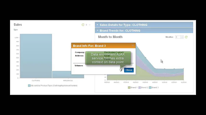 IBM BPM Accelerator Toolkit - EmeriConVIEWS Data V...