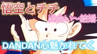 【MAD】DANDAN心魅かれてく 【ドラゴンボール】