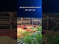 أبيات عن الوفاء أبو حصه الشمري شعر