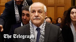 video: Palestinian envoy breaks down in tears at UN court