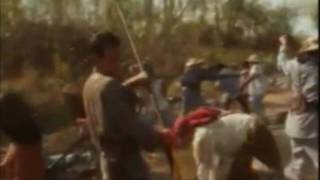 Pylc Trailer 1St Draft 1