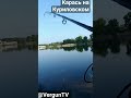 Думал сход! А там карась сидит, на Куриловском котловане! #рыбалка #verguntv #река_днепр #фидер