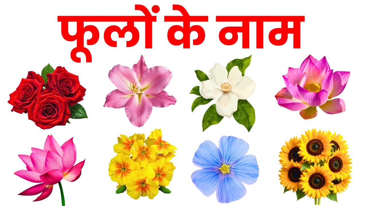 Flowers Name in Hindi & English | फूलों के नाम हिंदी में | Flowers Name for Kids