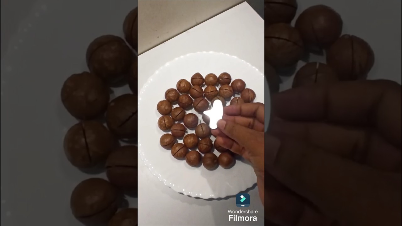 Trying Macadamia Nuts For The First Time 