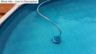 Hayward Wanda the Whale Pool Cleaner Review