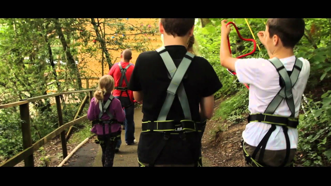 Treetop Trek Brockhole Explore the high trees in the heart of The