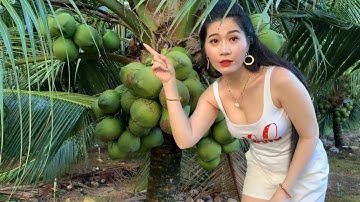 Mai Phương Thảo Về Quê Thăm Vườn Dừa Xiêm Xanh The Green Siamese Coconut Garden Was Wonderful