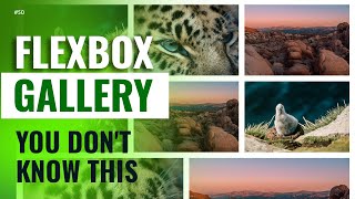 How To Create Flexbox Gallery | Malayalam Tutorial | Web Diary