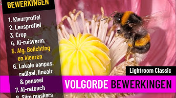 Lightroom Classic | Volgorde van bewerkingen (Dutch)
