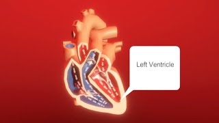 Heart Beating Visualization in Unity 6