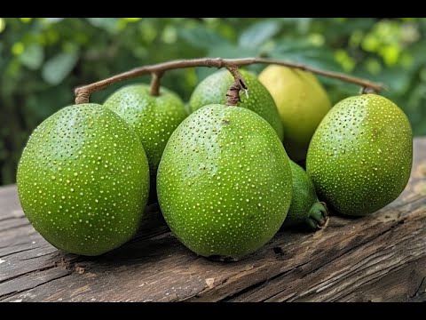 Eating Guava in Dreams - Meaning & Interpretation